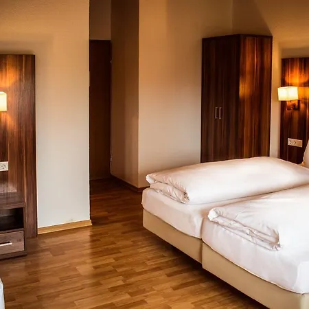 Ehranger Hof 3* トリーア