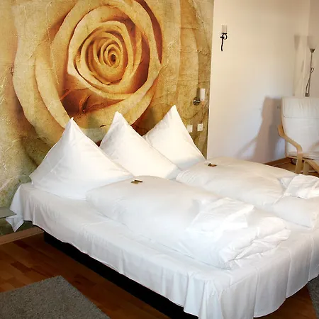 Hotel Ehranger Hof 3*